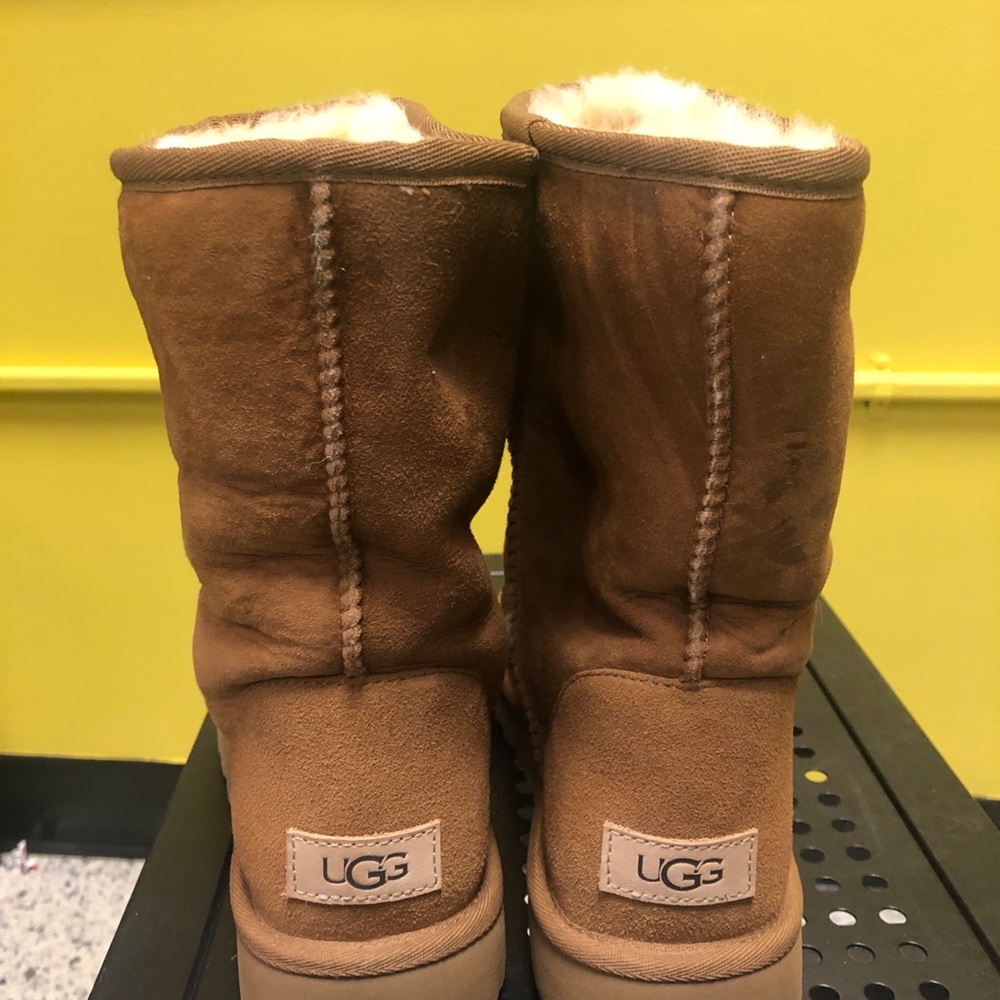 Chestnut Colored Uggs - Picture 5 of 6